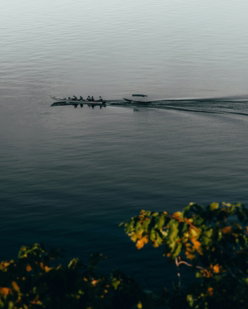 people-on-boat-during-golden-hour.jpg people on boat during golden hour